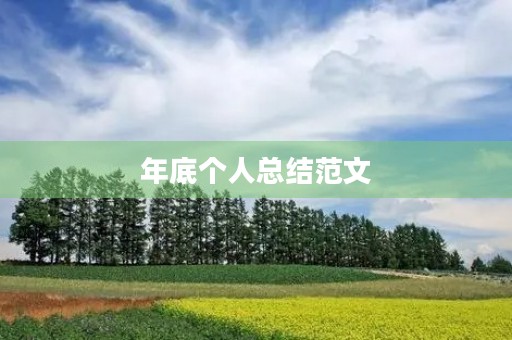 年底个人总结范文