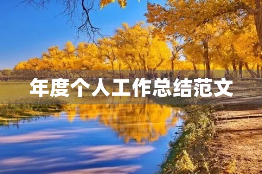 年度个人工作总结范文