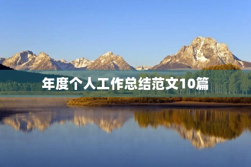 年度个人工作总结范文10篇