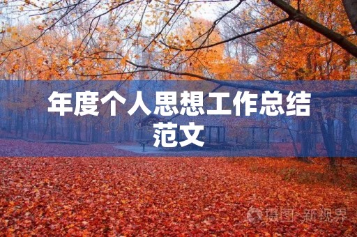 年度个人思想工作总结范文