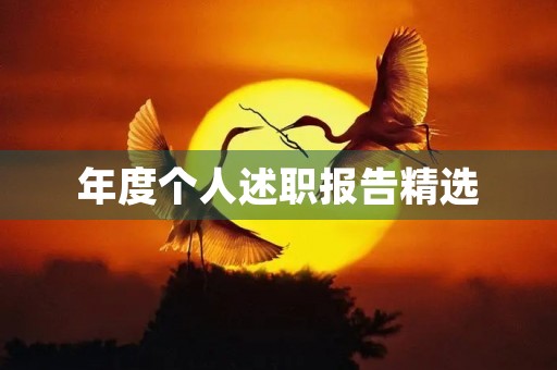 年度个人述职报告精选