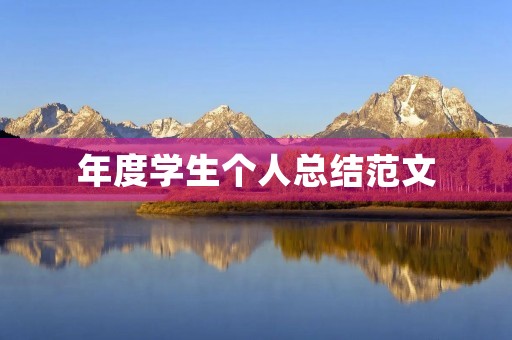年度学生个人总结范文