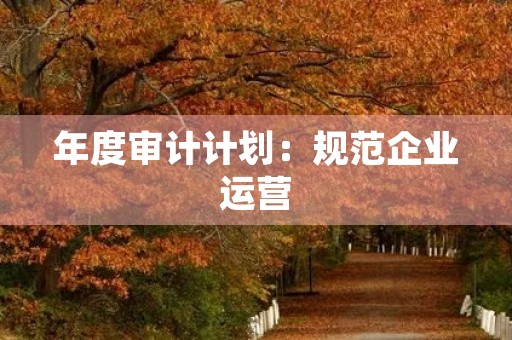 年度审计计划：规范企业运营，提升企业价值