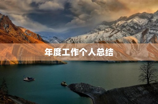 年度工作个人总结