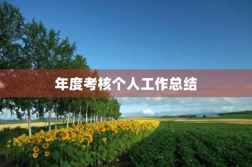 年度考核个人工作总结
