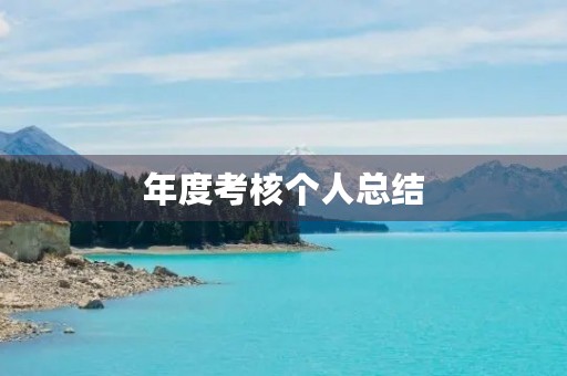 年度考核个人总结 年度考核个人总结