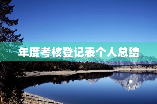 年度考核登记表个人总结