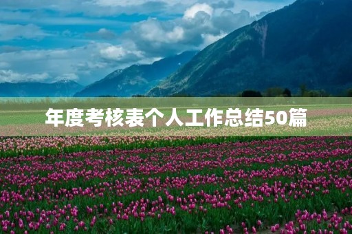 年度考核表个人工作总结50篇