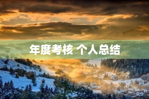 年度考核 个人总结