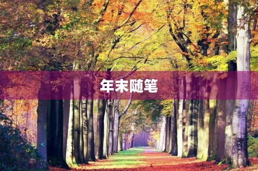 年末随笔