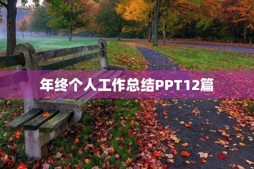 年终个人工作总结PPT12篇