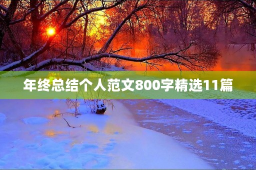 年终总结个人范文800字精选11篇