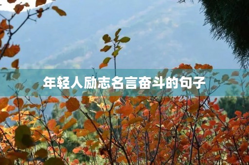 年轻人励志名言奋斗的句子(年轻人奋斗激励语)