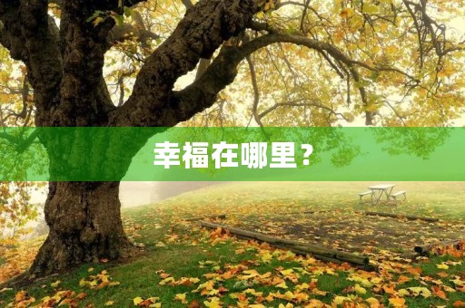 幸福在哪里? 幸福在哪里?