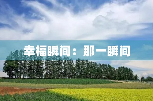 幸福瞬间：那一瞬间，我感受到了人生的意义