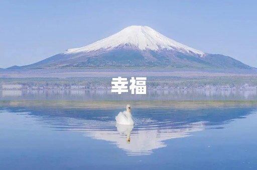 幸福，是一种美好的感受。它伴随着我们的成长，陪伴着我们的每一天。下面是一篇初三学生的作文，让我们一起来感受幸福的美好。