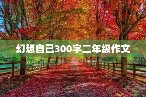 幻想自己300字二年级作文
