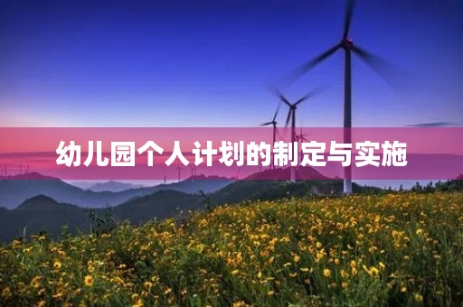 幼儿园个人计划的制定与实施