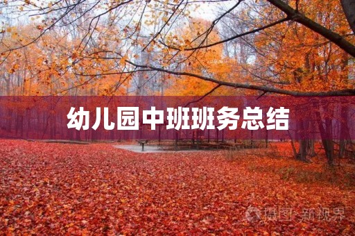 幼儿园中班班务总结