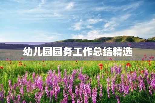 幼儿园园务工作总结精选