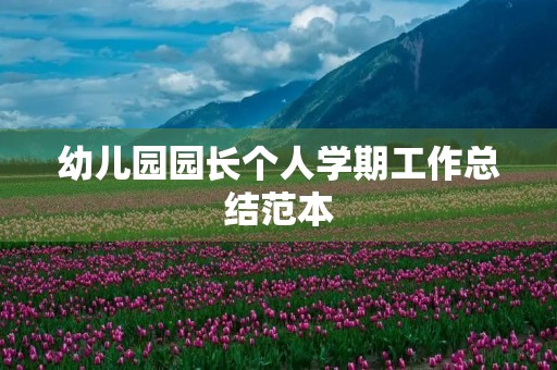 幼儿园园长个人学期工作总结范本