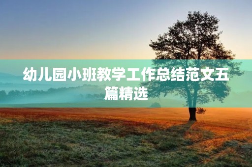 幼儿园小班教学工作总结范文五篇精选