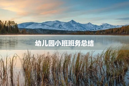 幼儿园小班班务总结
