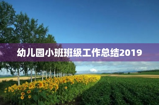 幼儿园小班班级工作总结2019