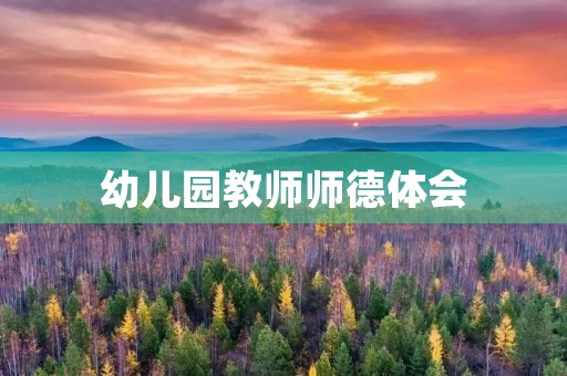 幼儿园教师师德体会