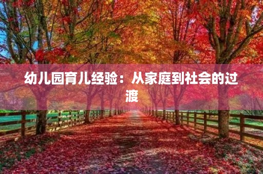 幼儿园育儿经验：从家庭到社会的过渡