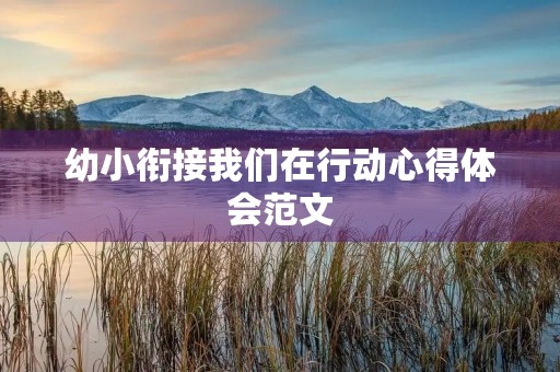 幼小衔接我们在行动心得体会范文