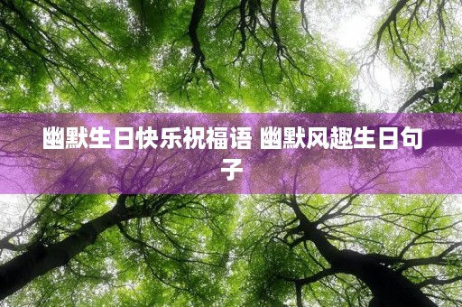 幽默生日快乐祝福语 幽默风趣生日句子