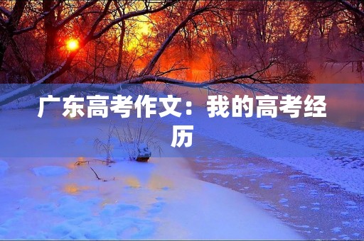 广东高考作文：我的高考经历
