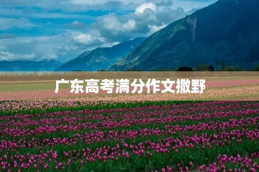 广东高考满分作文撒野