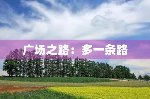 广场之路:多一条路,多一份选择 广场之路:多一条路,多一份选择
