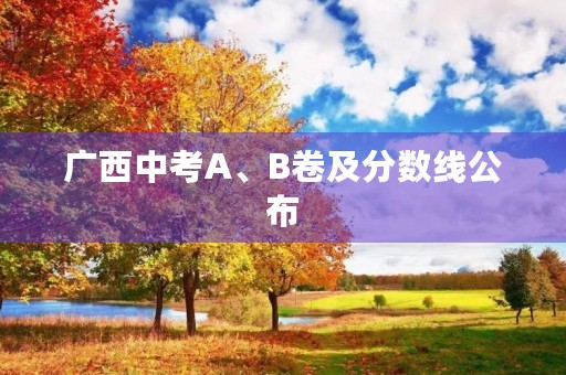 广西中考A、B卷及分数线公布