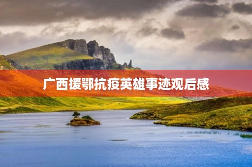 广西援鄂抗疫英雄事迹观后感