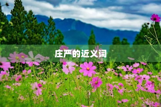 庄严的近义词(庄严的近义词) 庄严的近义词(庄严的近义词)