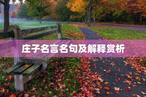 庄子名言名句及解释赏析(庄子名言名句100句) 庄子名言名句及解释赏析(庄子名言名句100句)