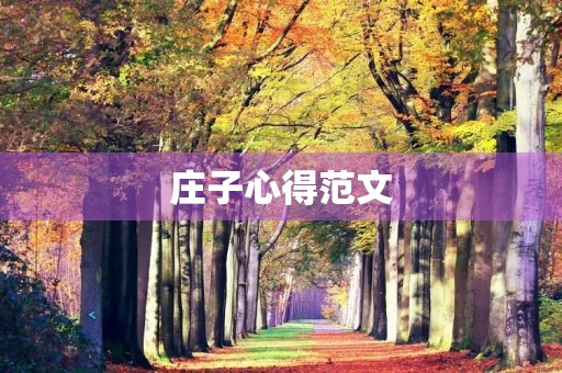庄子心得范文