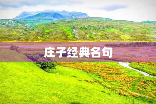 庄子经典名句(庄子经典名句100句及其翻译) 庄子经典名句(庄子经典名句100句及其翻译)
