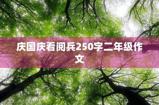 庆国庆看阅兵250字二年级作文