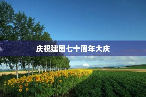 庆祝建国七十周年大庆 庆祝建国七十周年大庆