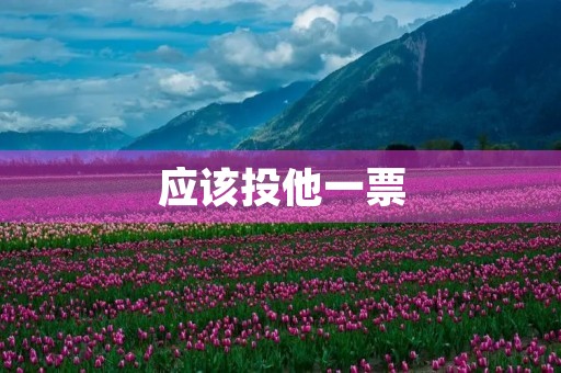应该投他一票