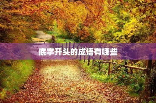 底字开头的成语有哪些
