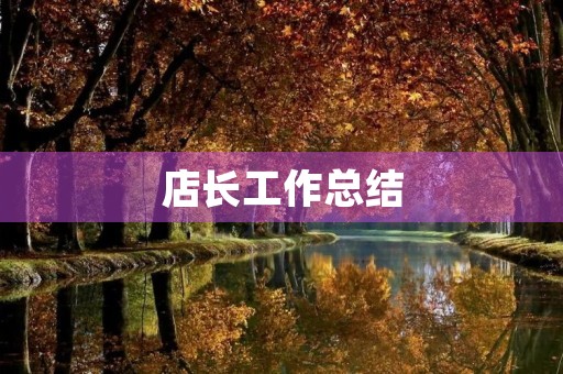 店长工作总结