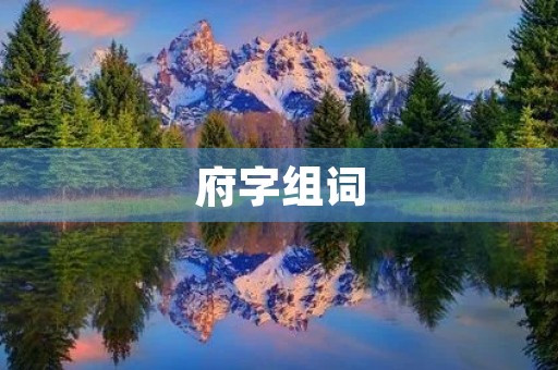 府字组词(府组词)