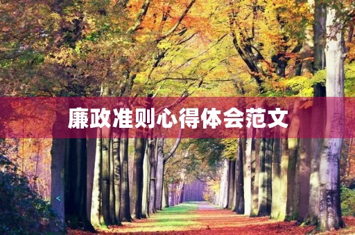 廉政准则心得体会范文