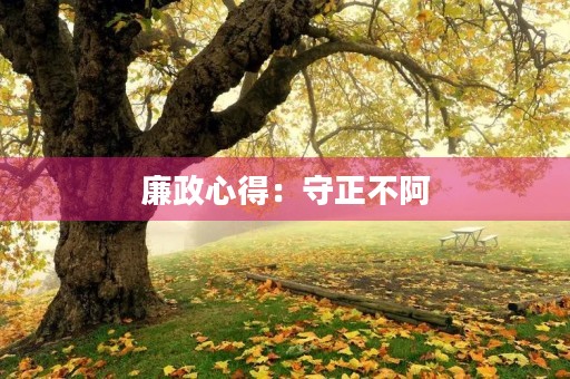 廉政心得：守正不阿，以廉为本