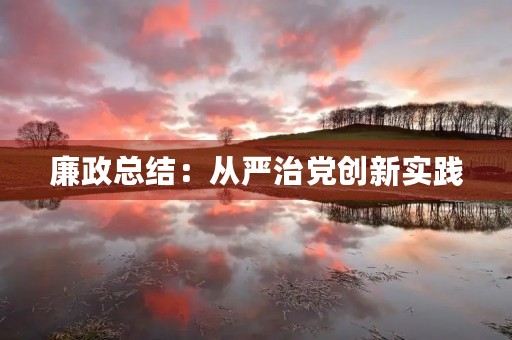 廉政总结：从严治党创新实践
